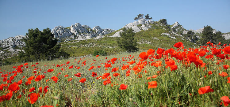 Eygui Res Les Alpilles Visiter Eygui Res Dans Les Alpilles